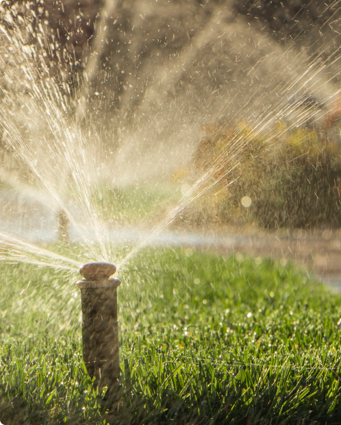 Conservation is easy by adjusting your sprinkler system - sprinkler in green lawn