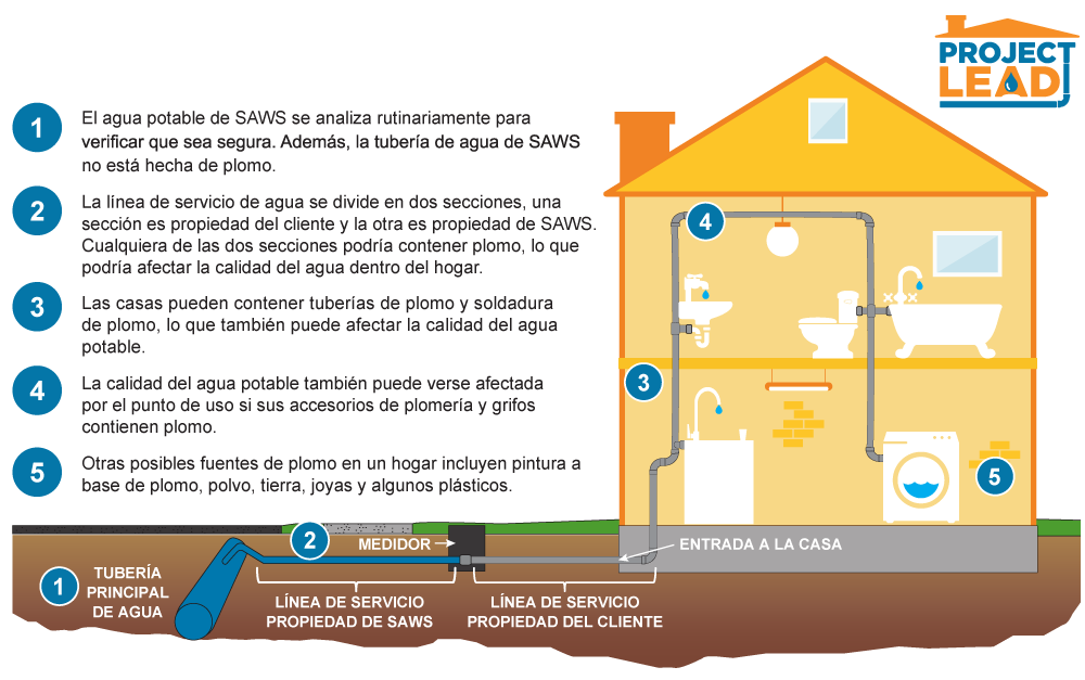 El agua potable de SAWS se analiza rutinariamente para verificar que sea segura. Además, la tubería de agua de SAWS no está hecha de plomo. La línea de servicio de agua se divide en dos secciones, una sección es propiedad del cliente y la otra es propiedad de SAWS.
Cualquiera de las dos secciones podría contener plomo, lo que podría afectar la calidad del agua dentro del hogar. Las casas pueden contener tuberías de plomo y soldadura de plomo, lo que también puede afectar la calidad del agua
potable. La calidad del agua potable también puede verse afectada por el punto de uso si sus accesorios de plomería y grifos contienen plomo. Otras posibles fuentes de plomo en un hogar incluyen pintura a base de plomo, polvo, tierra, joyas y algunos plásticos.